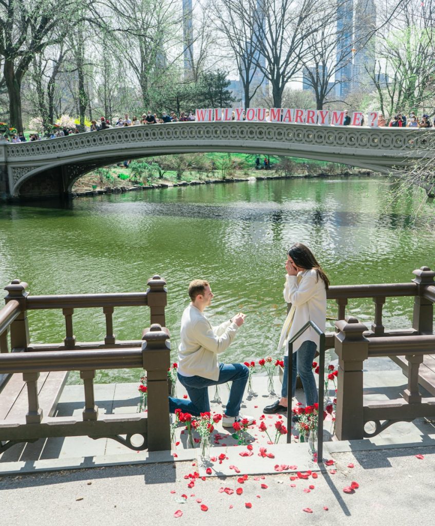 The Most Breathtaking Proposal Spots for 2024 woman in white shirt sitting on brown wooden bench near body of water during daytime