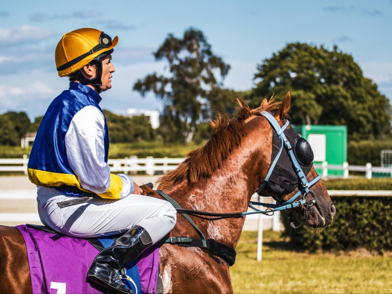 Betting on Tradition: How Horse Racing Stays Financially Strong in a Digital World Betting on Tradition