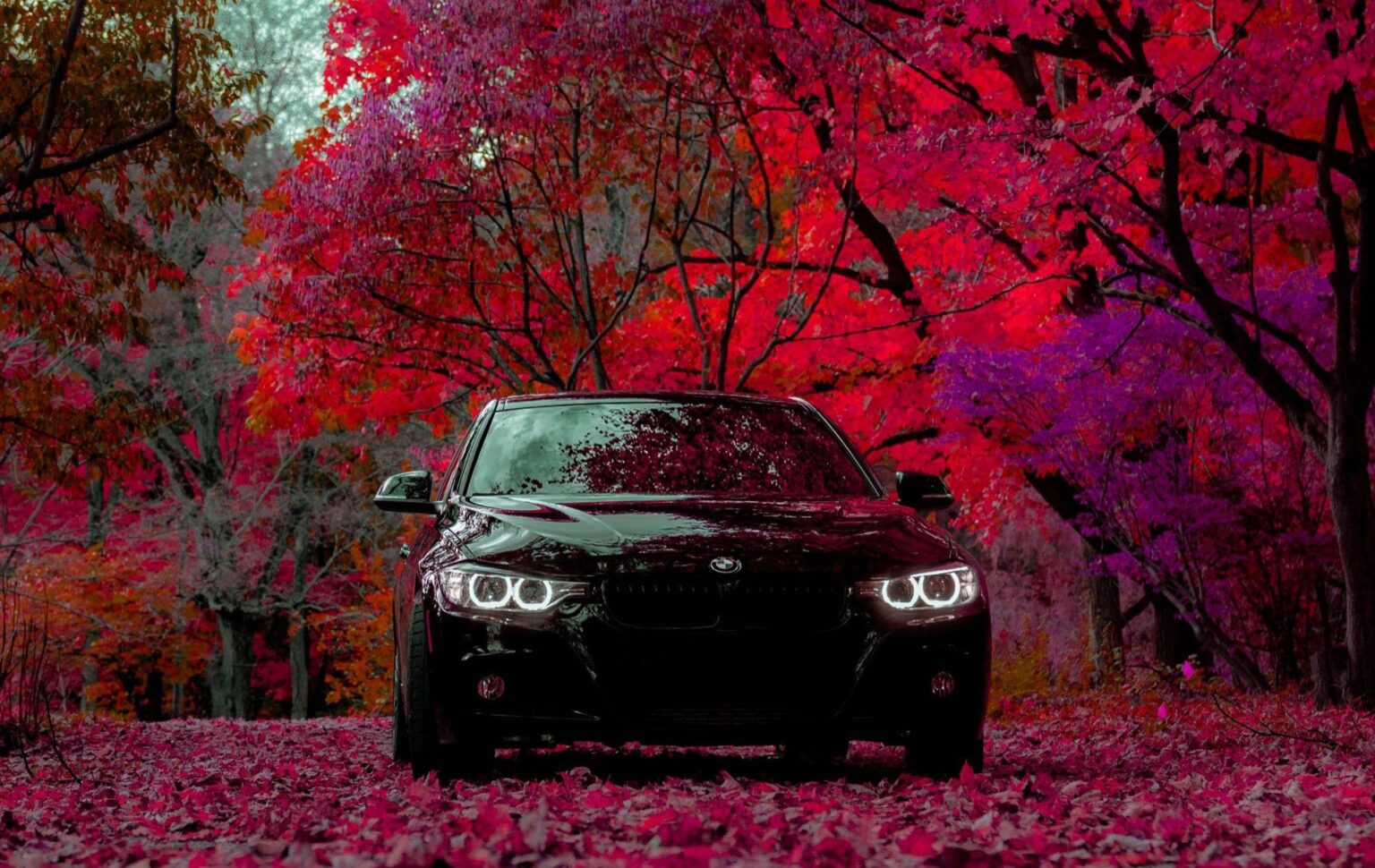How to Choose the Right Used BMW Parts for Your Car Black BMW saloon parked among red autumn trees, illustrating used BMW parts buying